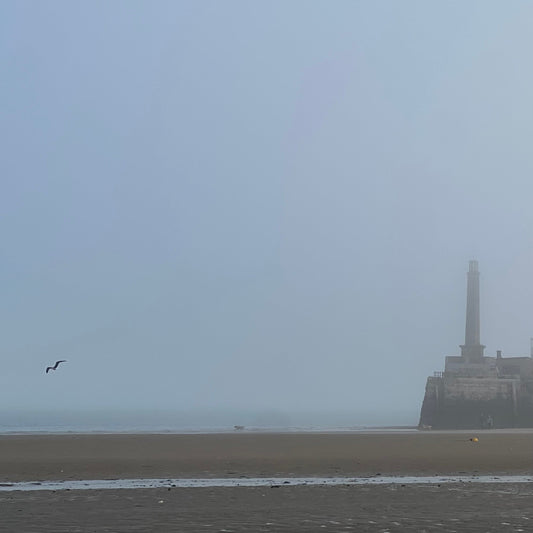 Margate's Harbor Arm - a 2026 Guide